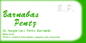 barnabas pentz business card