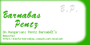 barnabas pentz business card